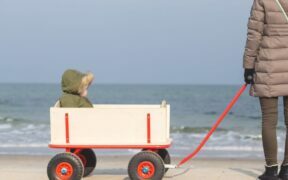 Beach wagon with big wheels