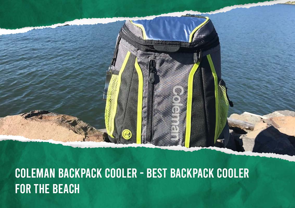 Coleman Backpack Cooler Best Backpack Cooler For The Beach
