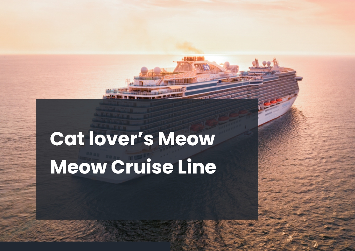 Cat lover’s Meow Meow Cruise Line