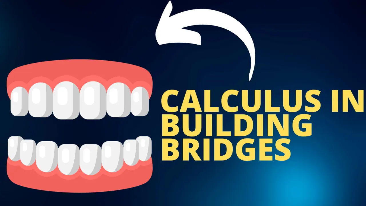 Calculus: Bridging the Gap in Engineering Excellence