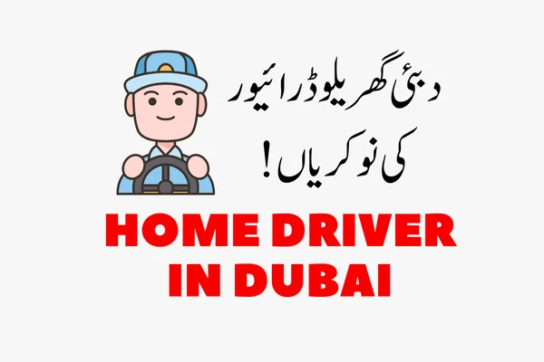 Home Driver Life in Dubai: Full information Home Driver Life in Dubai: Full informatio